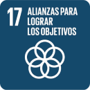 Icono del ODS en Grupo Servidis
